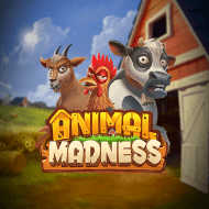 animal madness