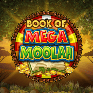 book of mega moolah____h_662ee0d3b3882d392bfcc29fb5e5606a