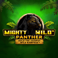 mighty wild panther____h_2878aa8593afacbeeefa7361c292e7b6